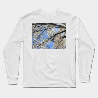 Brooklyn Blossoming Tree Long Sleeve T-Shirt